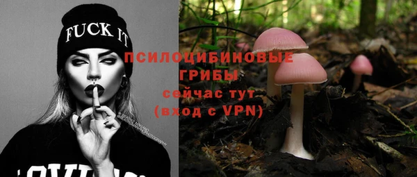 синтетический гашиш Алексеевка