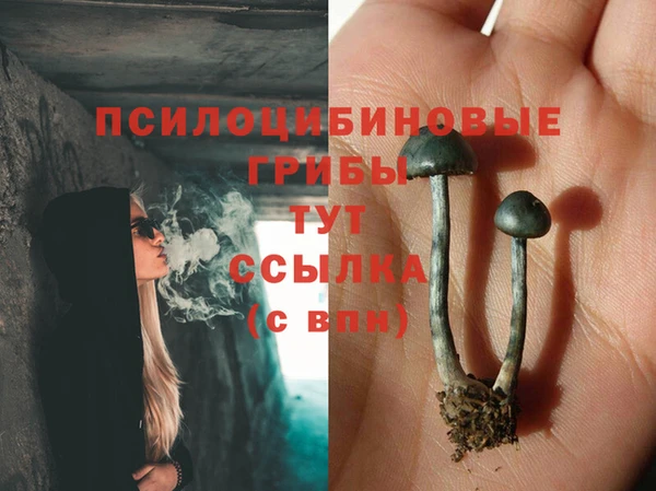 синтетический гашиш Алексеевка